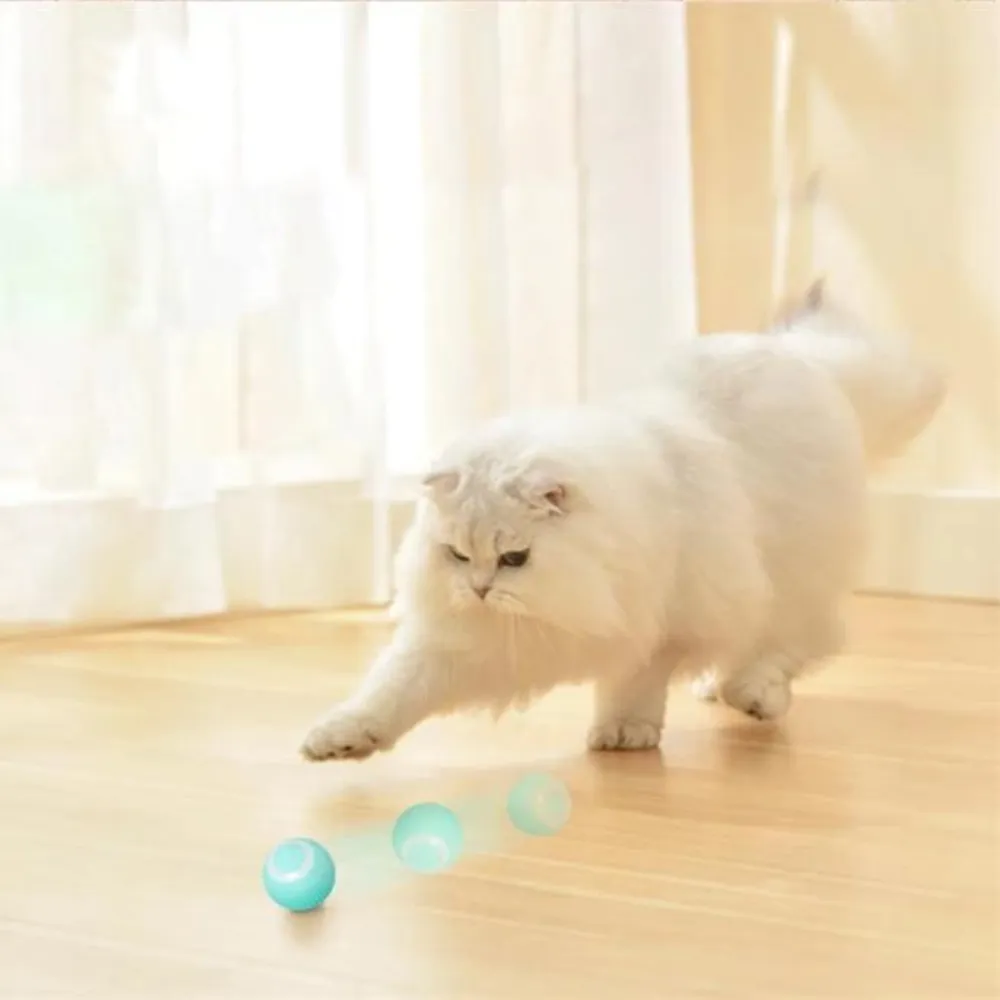 Kit Brinquedos Cobra + Pássaro + Bola Elétricos para Gatos — foto 4