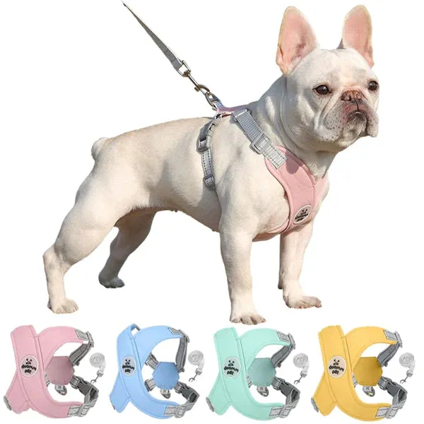 Kit Guia e Peitoral Duomm | Para Cachorro e Gato — foto 2