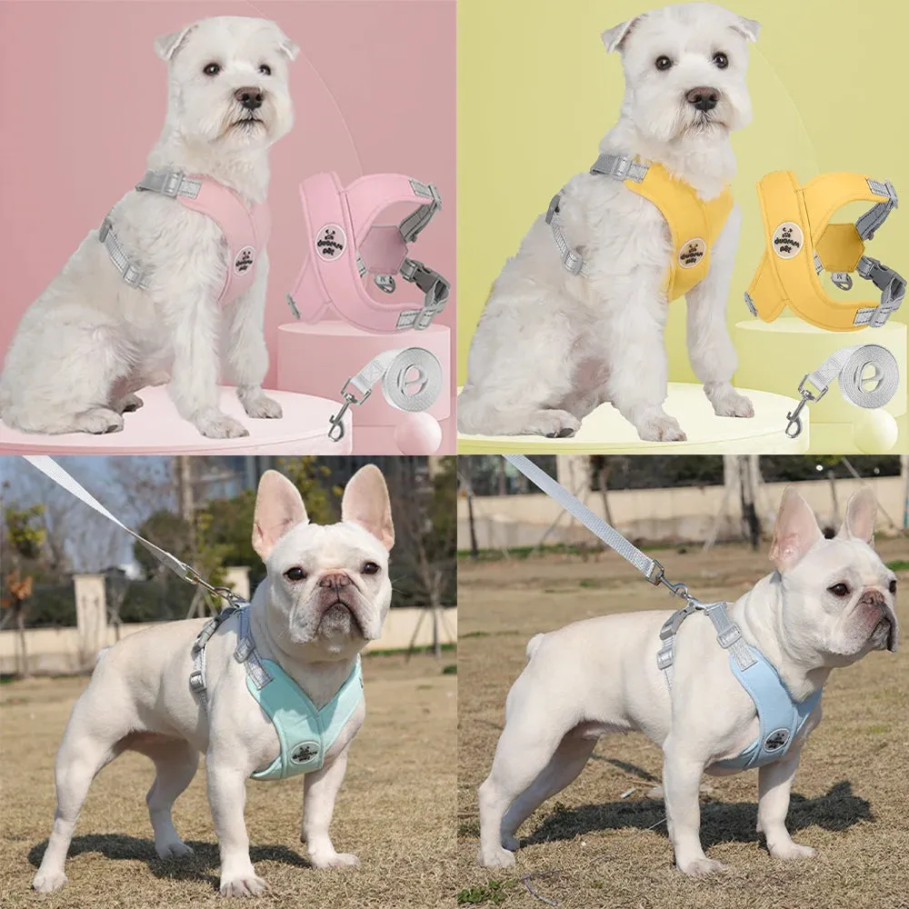 Kit Guia e Peitoral Duomm | Para Cachorro e Gato — foto 3