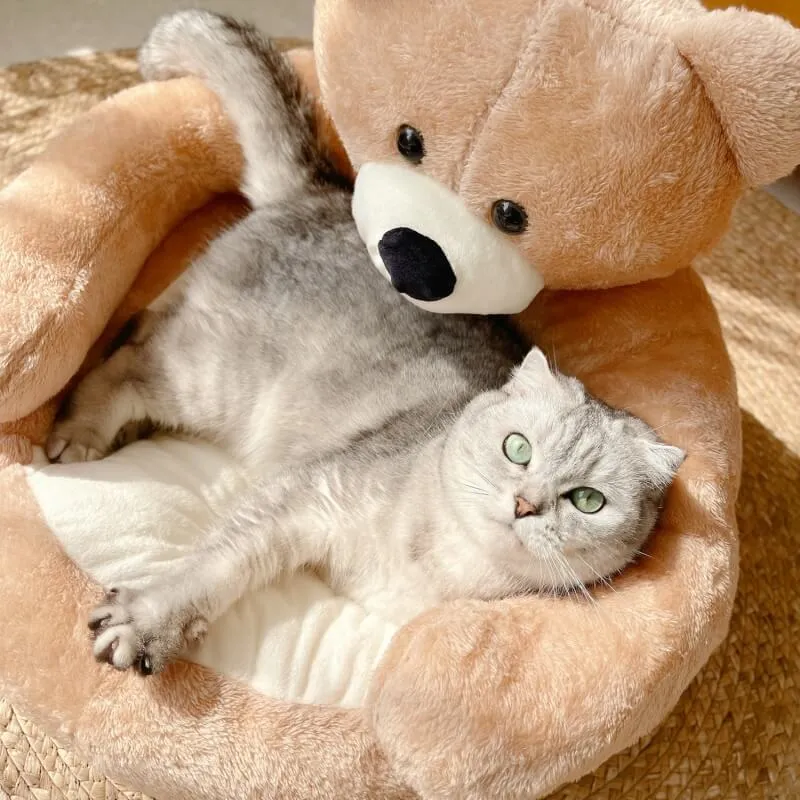 Linda Cama Móvel para Gato Abraço de Urso — foto 5