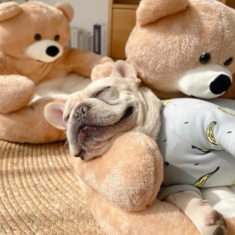 Linda Cama Móvel para Gato Abraço de Urso — foto 6