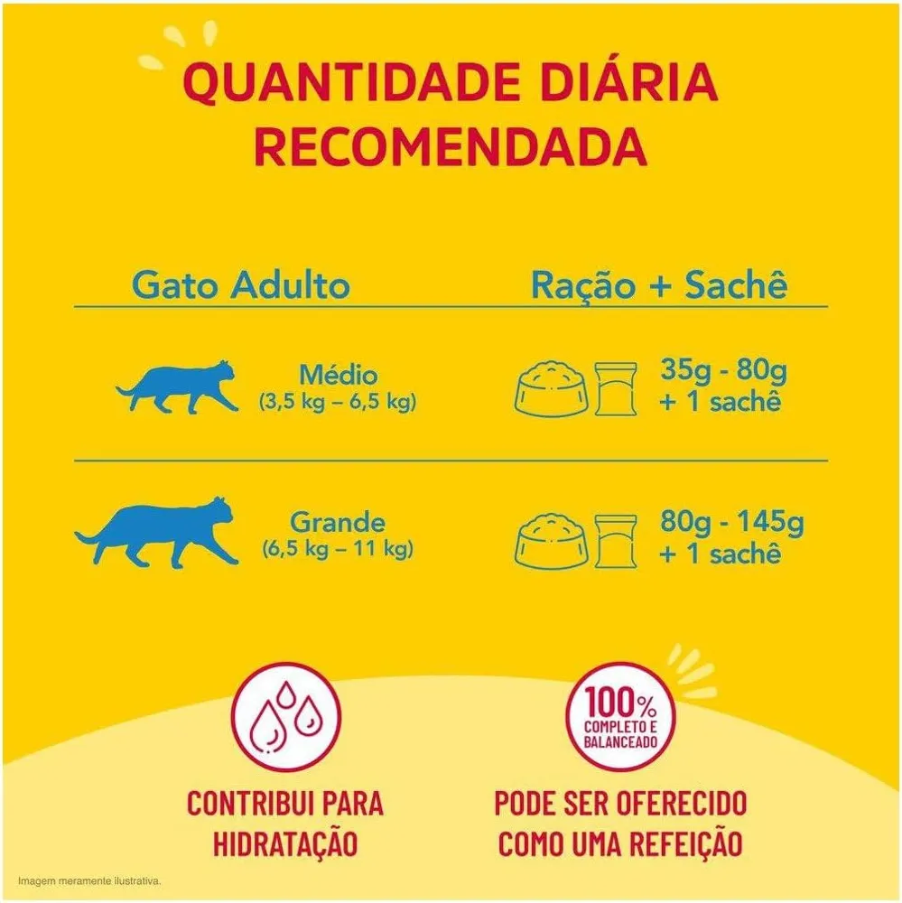 Pack Nestlé Purina Friskies Ração Úmida Para Gatos Adultos Carne Ao Molho - Com 15 Sachês 85g — foto 3