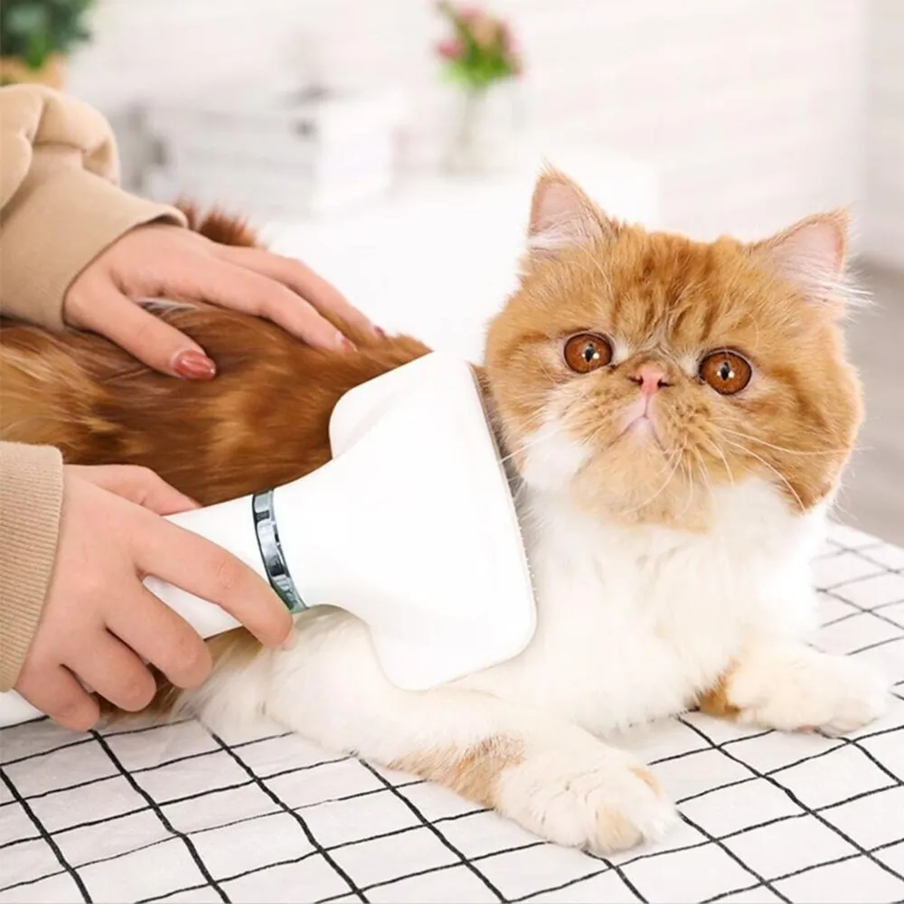 Secador Escova Portátil Elétrico 2 em 1 Para Pets Animais de Estimação 110V - RCM Group — foto 4