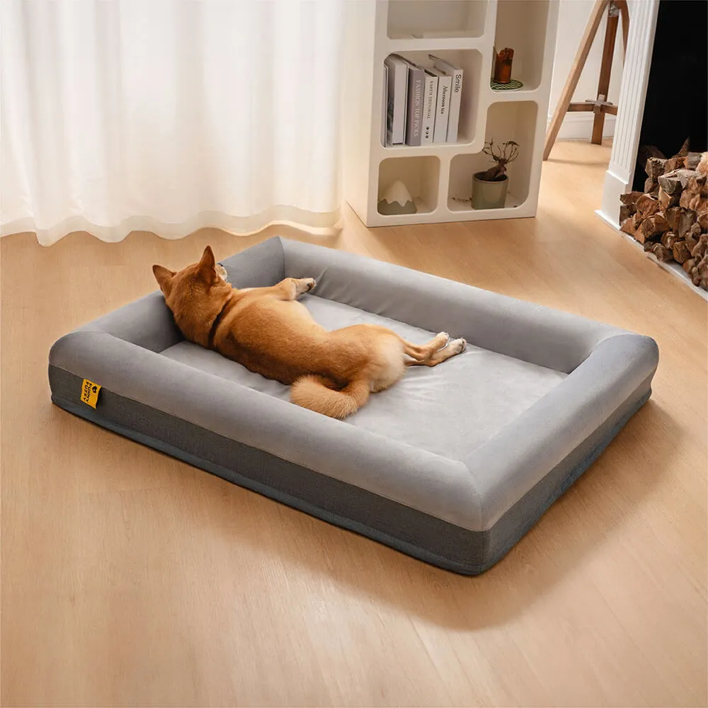 Sono feliz da cama ortopédica superior do cão com jogo alegre que escava a cama — foto 2