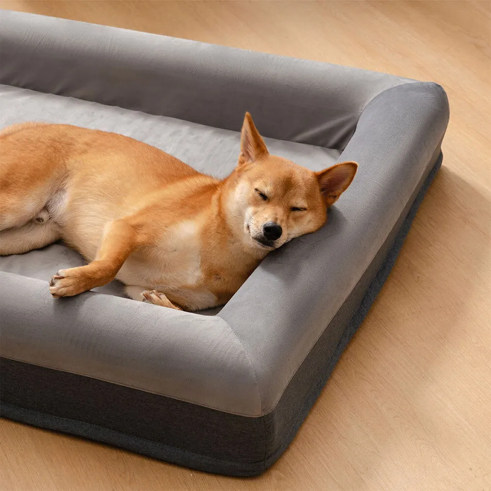 Sono feliz da cama ortopédica superior do cão com jogo alegre que escava a cama — foto 3