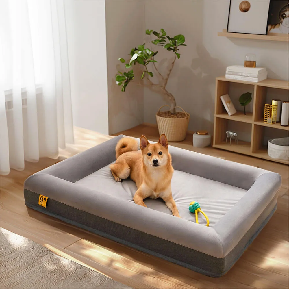 Sono feliz da cama ortopédica superior do cão com jogo alegre que escava a cama — foto 4
