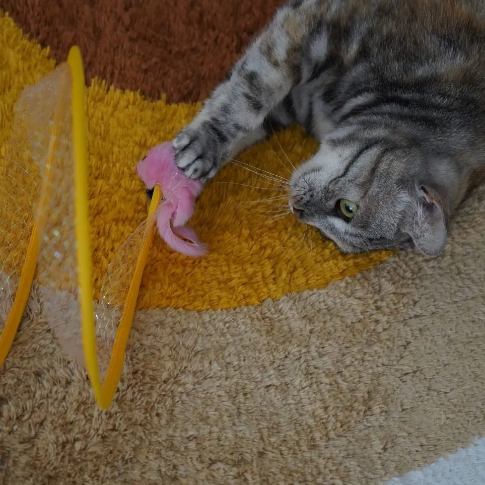Tunicat - Brinquedo Minhoca Espiral para Gatos — foto 4