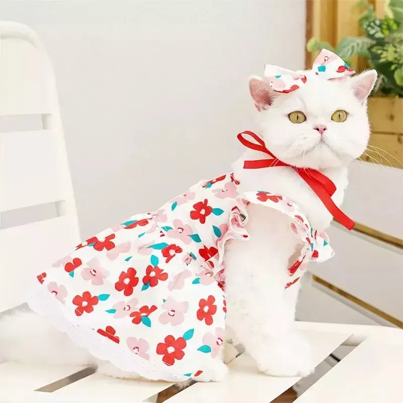 Vestidos de Verão para Cachorros e Gatos — foto 2