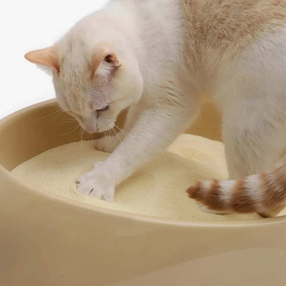 Areia Higiênica Biodegradável para Gatos Grãos Finos Cansei de Ser Gato — foto 4