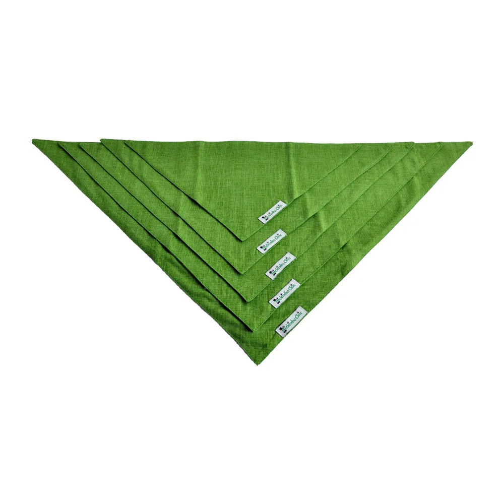 Bandana Básica Verde Bichinho Chic — foto 2