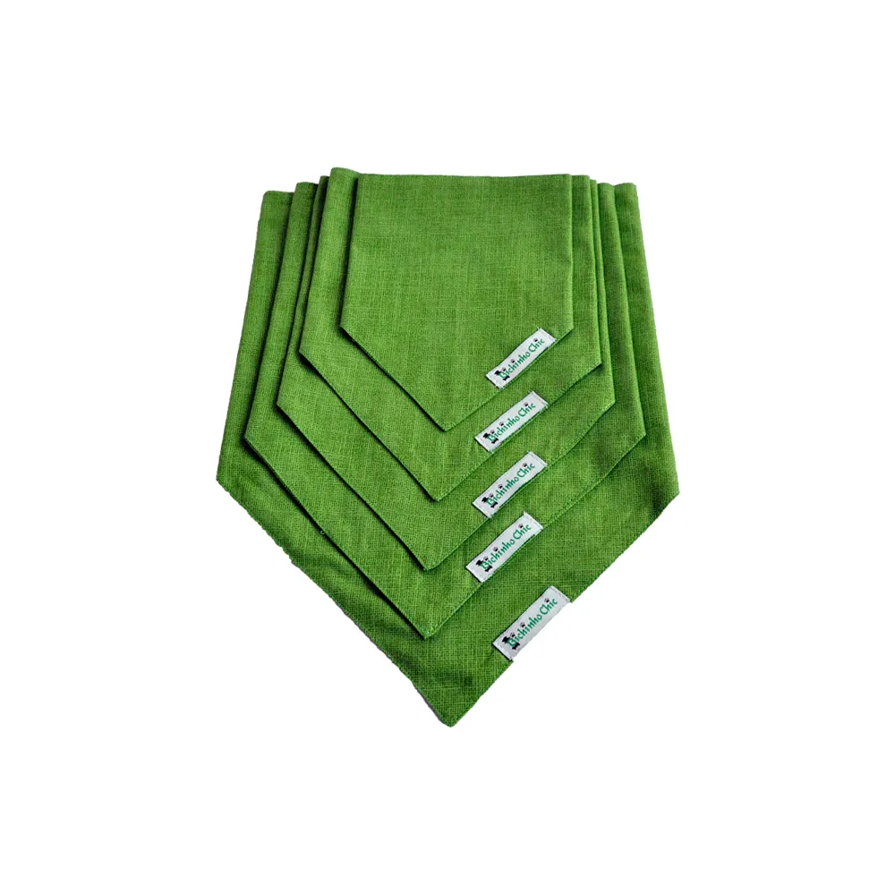Bandana Básica Verde Bichinho Chic — foto 3
