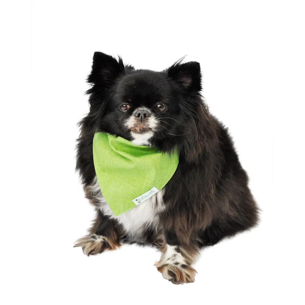 Bandana Básica Verde Bichinho Chic — foto 5