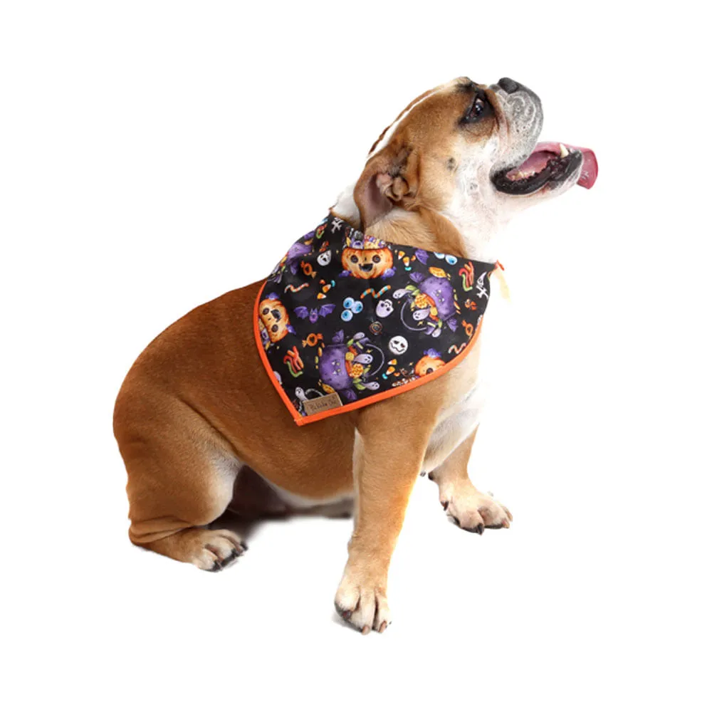 Bandana Halloween Bichinho Chic Laranja — foto 6