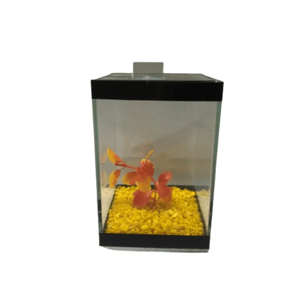 Beteira Quadrada com Enfeite Lester — foto 5