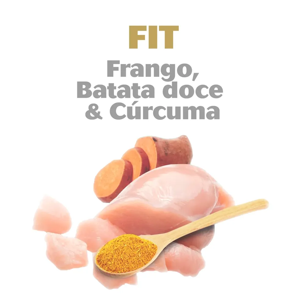 Bifinho Fit Frango Batata Doce e Cúrcuma Kadi — foto 3