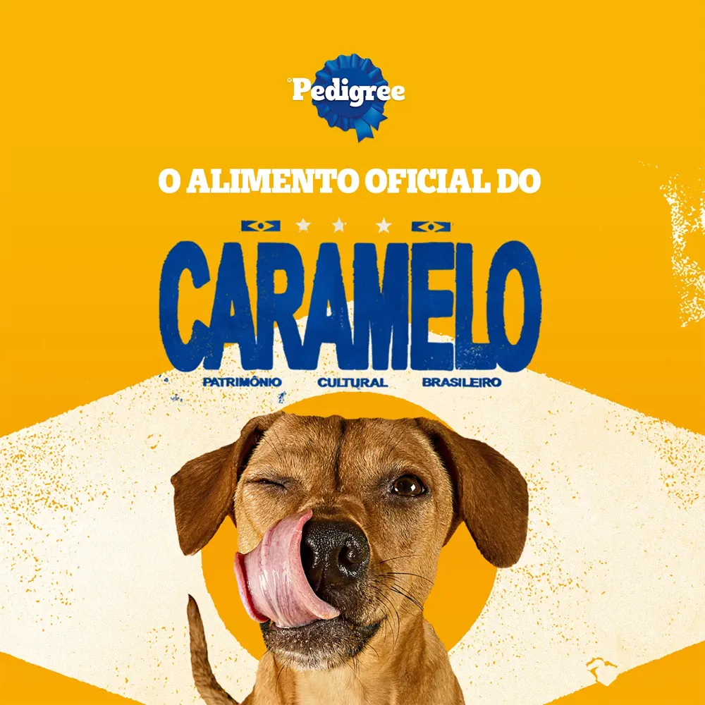 Biscoito Pedigree Biscrok para Cães Adultos Raças Pequenas Leite — foto 5