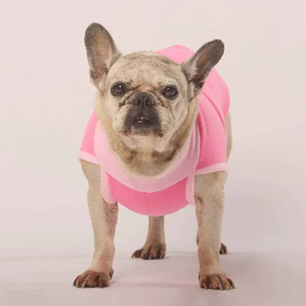 Blusa Básica Soft Lisa Rosa Fábrica Pet — foto 6