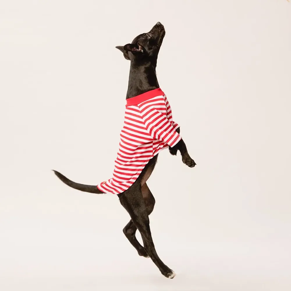 Blusa Listra Com Manga Vermelho Fábrica Pet — foto 6