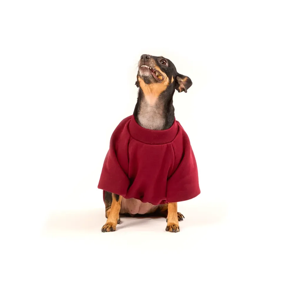 Blusa Moletom Com Manga Vinho Fábrica Pet — foto 3
