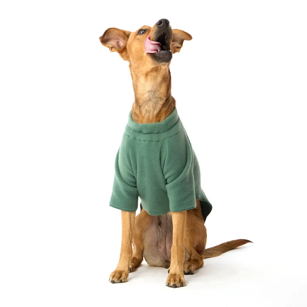 Blusa para Cães e Gatos 2007 Fábrica Pet Verde — foto 2
