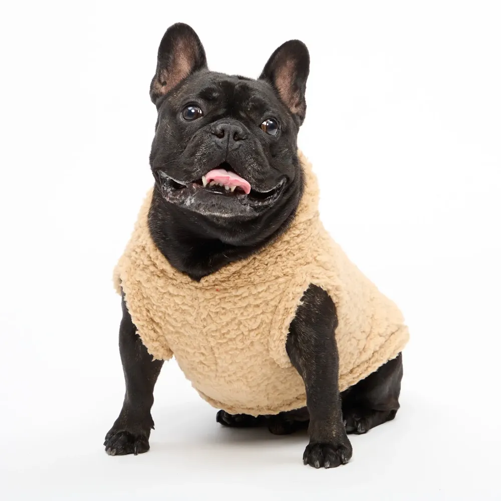 Blusa Sherpa com Capuz Fábrica Pet Bege — foto 2