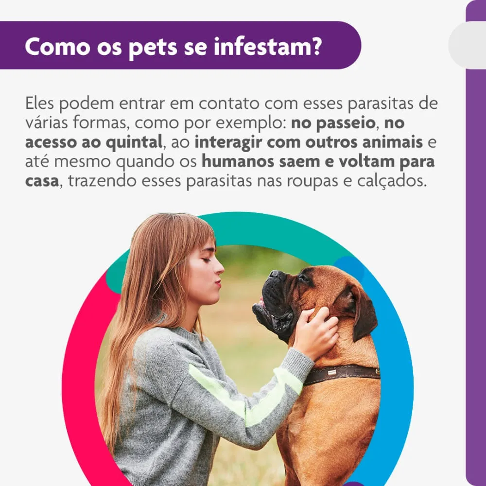 Antipulgas e Carrapatos Bravecto 40 a 56 kg Cães 1400mg — foto 5