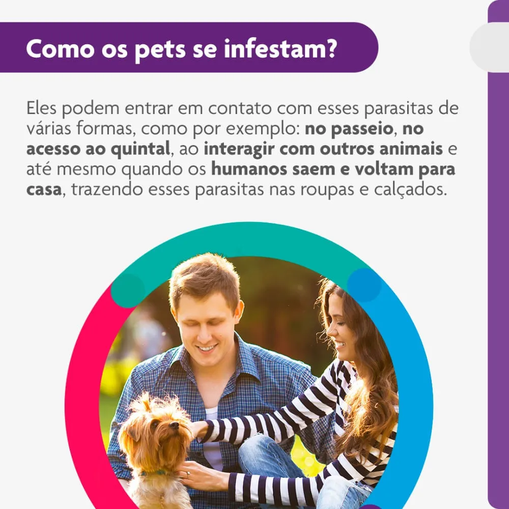 Antipulgas Bravecto 2 a 4,5 kg para Cães 112,5 mg — foto 5