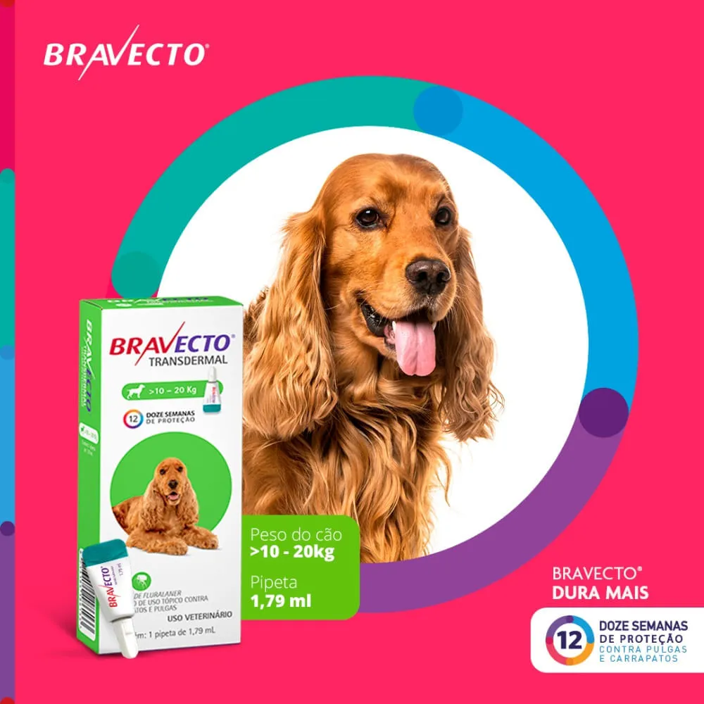 Antipulgas Bravecto Transdermal Cães 10 a 20 kg — foto 3