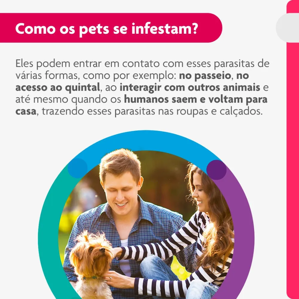 Antipulgas Bravecto Transdermal Cães 2 a 4,5 kg — foto 5