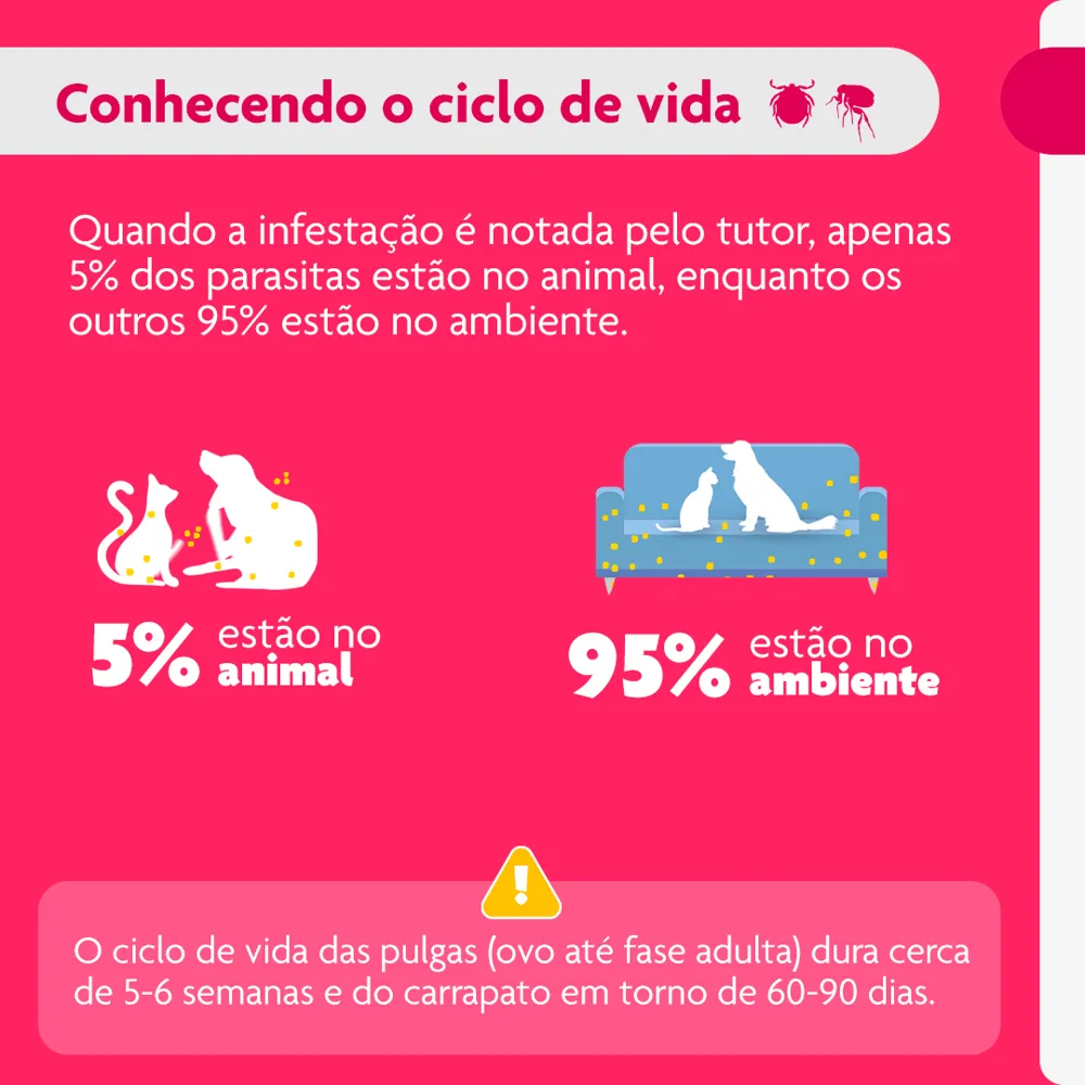 Antipulgas Bravecto Transdermal Cães 2 a 4,5 kg — foto 6