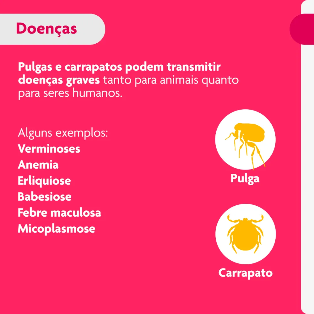 Antipulgas Bravecto Transdermal Cães 4,5 a 10kg — foto 4