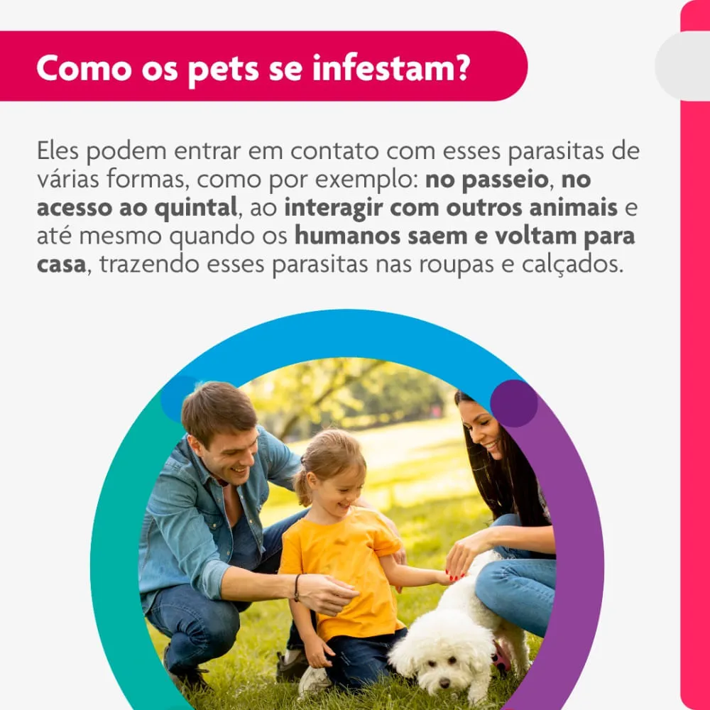 Antipulgas Bravecto Transdermal Cães 4,5 a 10kg — foto 5