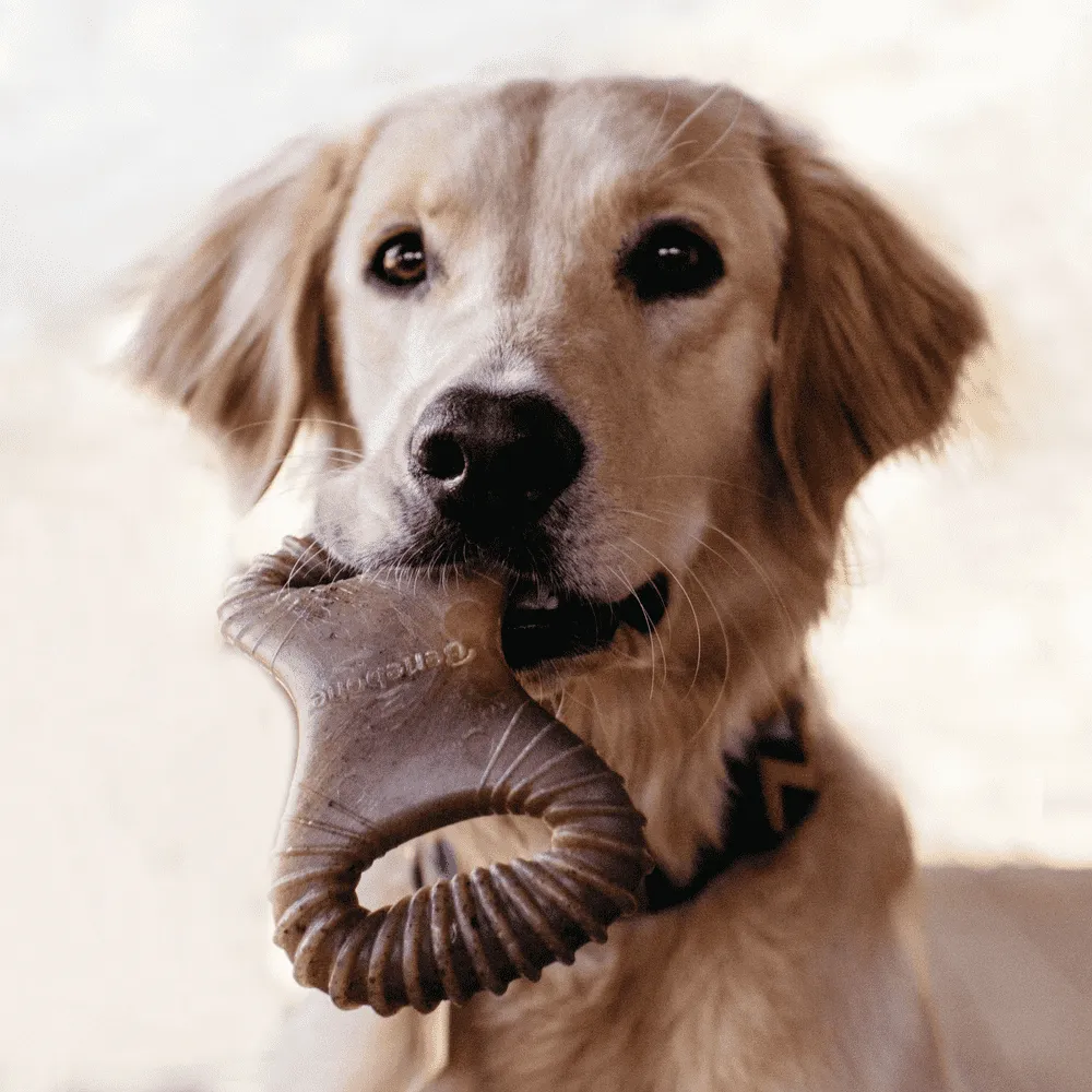 Brinquedo Benebone Dental Chew Bacon — foto 6
