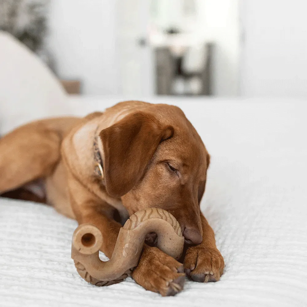Brinquedo Mordedor Benebone Tripe Bone — foto 5