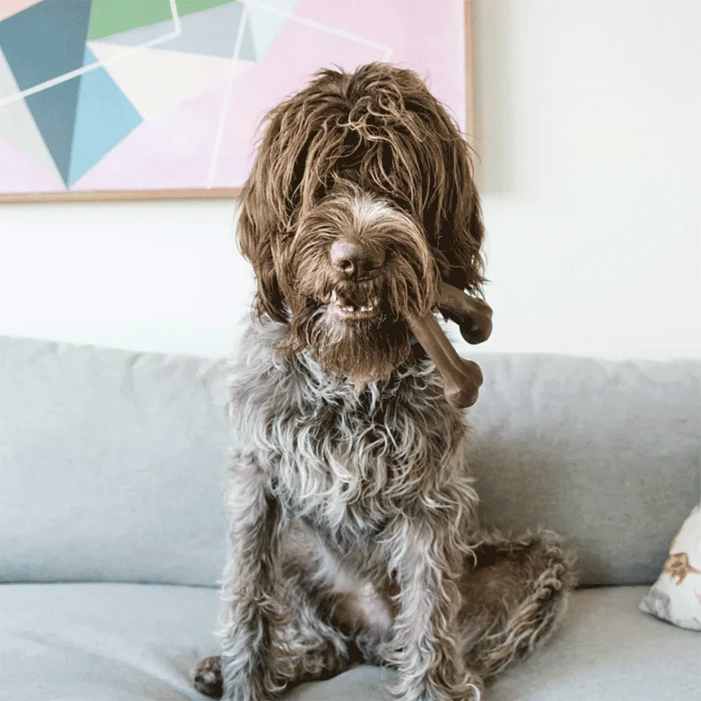 Brinquedo Benebone Wishbone Bacon — foto 4