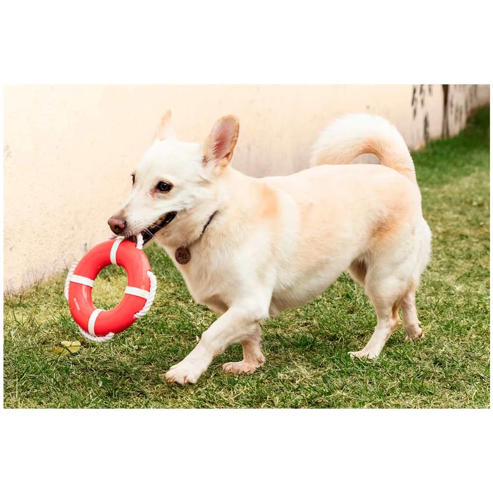 Brinquedo Boia Flutuação com Corda para Cães GermanHart — foto 6