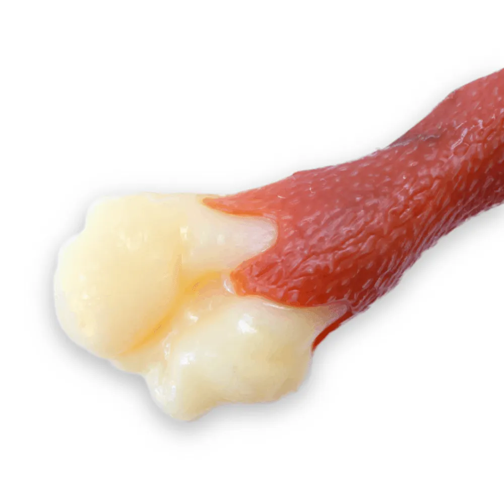Brinquedo Fêmur Durabone Nylon Odontopet — foto 3