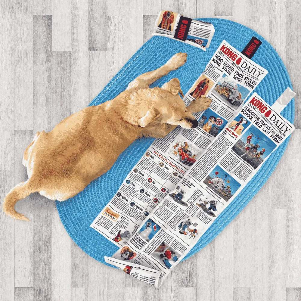 Brinquedo Jornal Kong Daily para Cães — foto 5