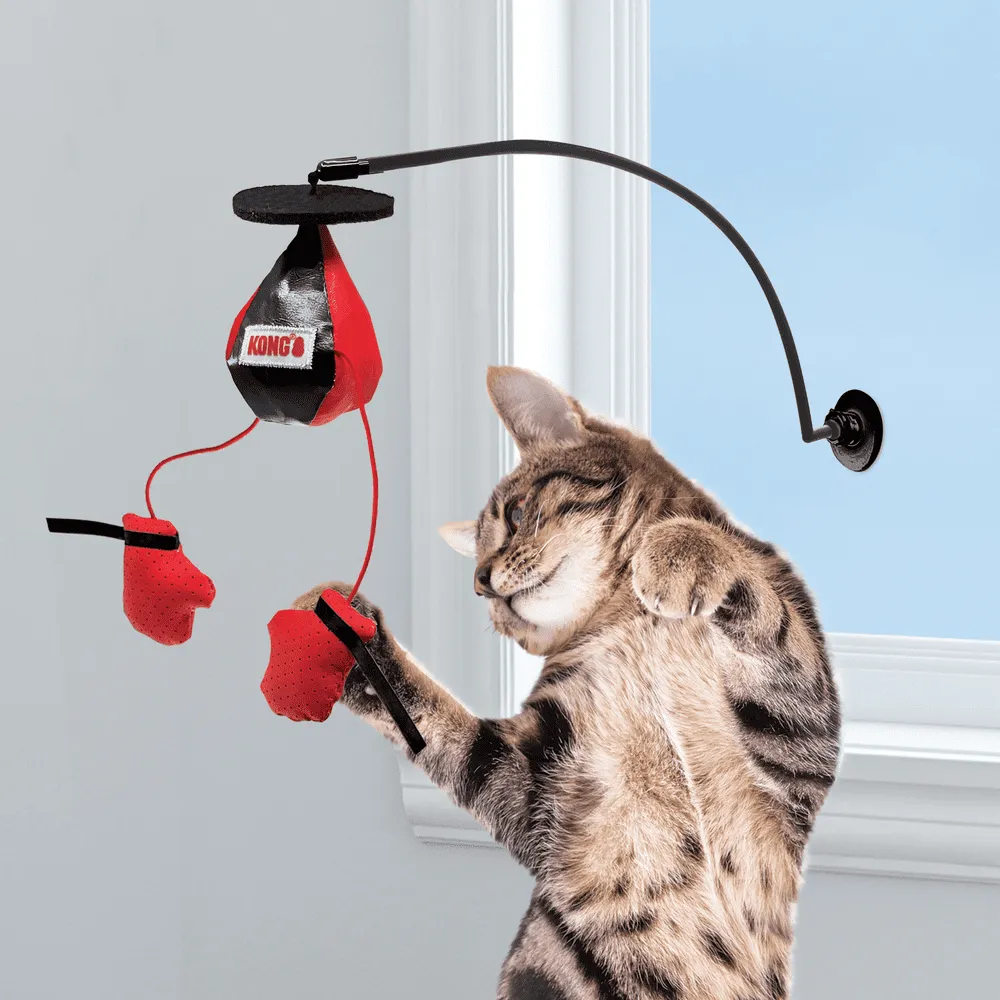 Brinquedo Kong Connects Window Boxing — foto 4