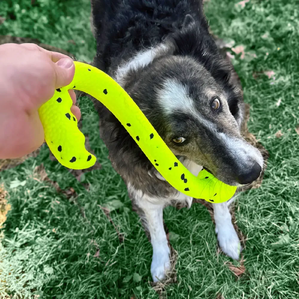 Brinquedo Kong Reflex Tug 'N Fetch para Cães — foto 3