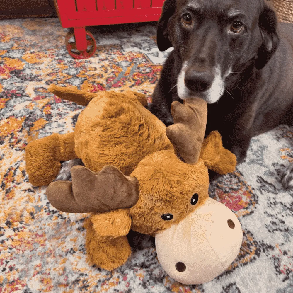 Brinquedo Pelúcia Kong Cozie Jumbo Marvin — foto 4