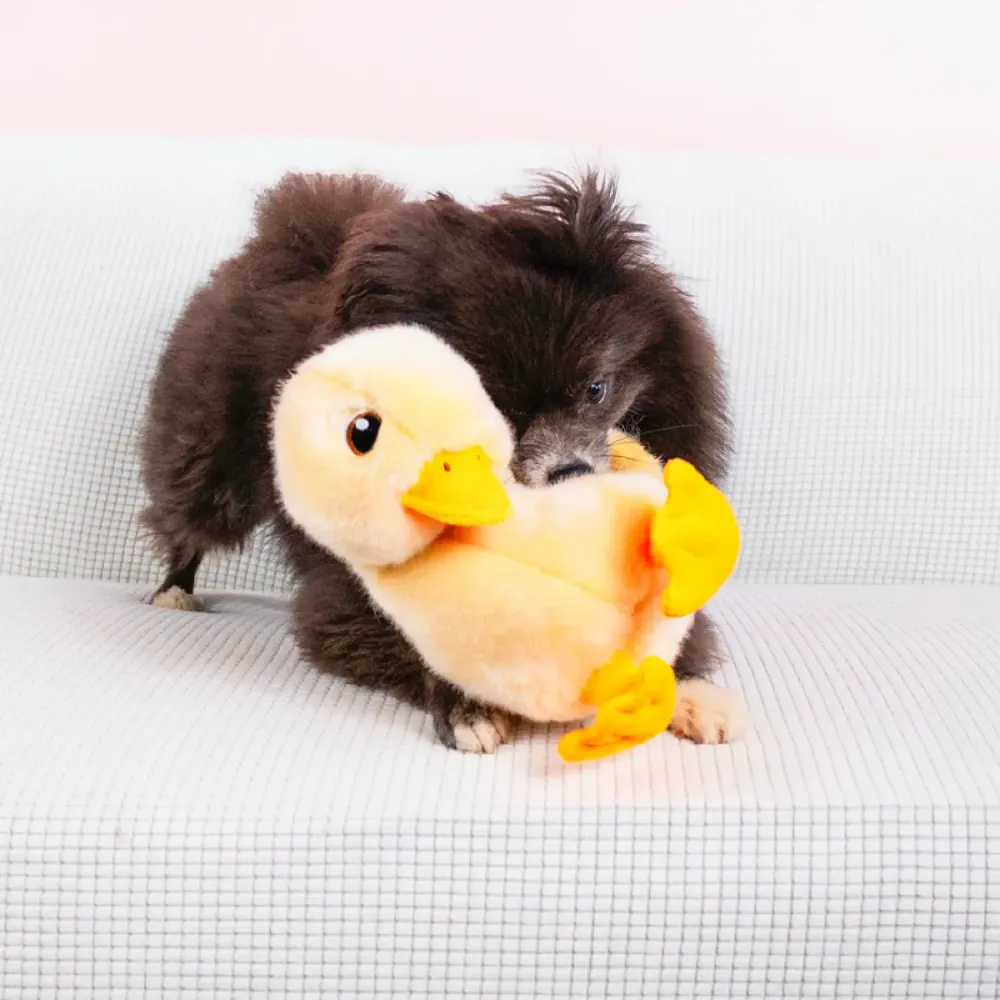 Brinquedo Pelúcia Kong Pato Toughz — foto 4