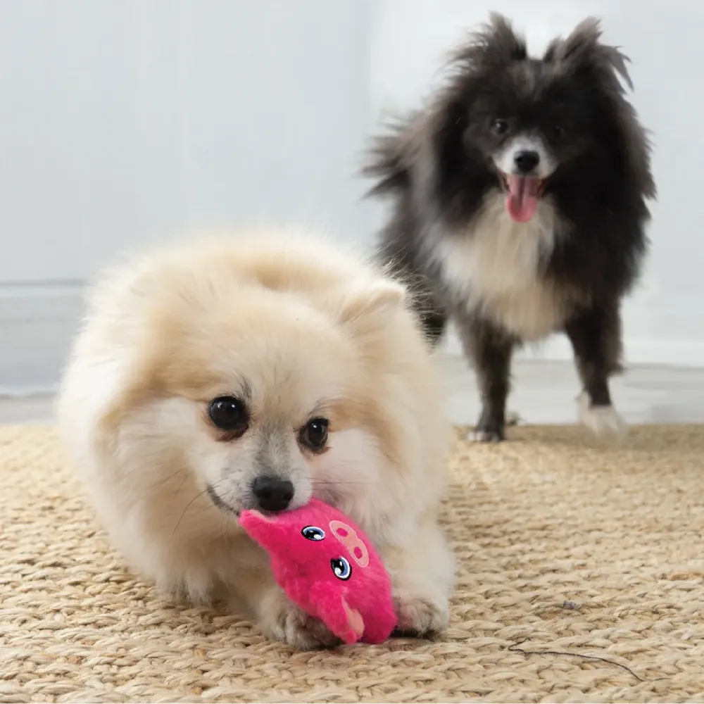 Brinquedo Pelúcia Kong Porquinho Snuzzles Mini — foto 4
