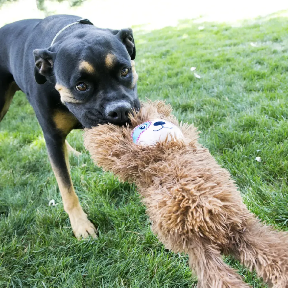 Brinquedo Pelúcia Kong Preguiça Tuggz — foto 3