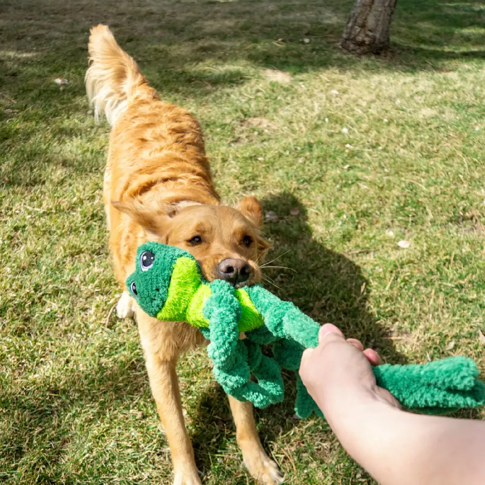 Brinquedo Pelúcia Kong Sapo com Nós — foto 4