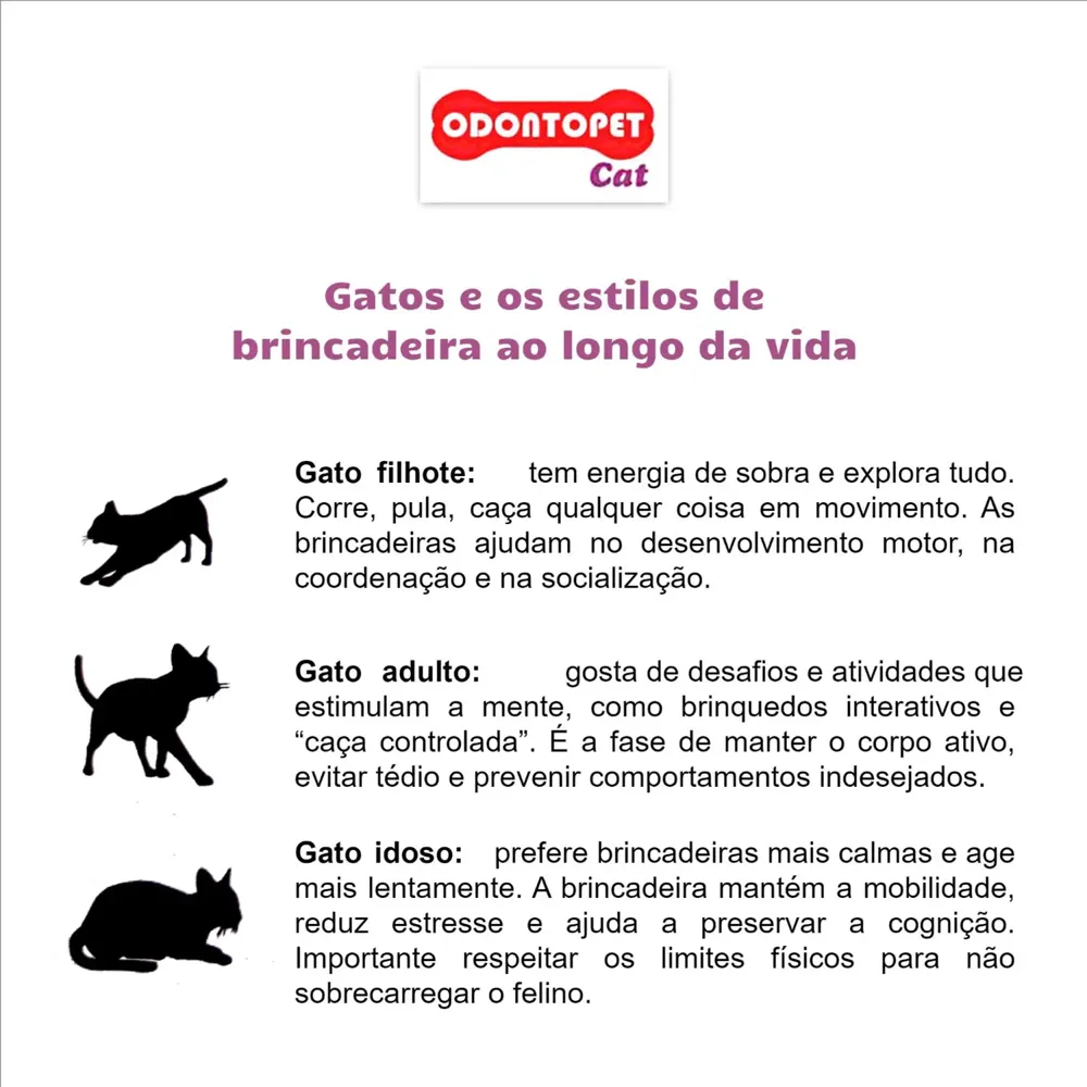 Brinquedo Rato com Catnip Odontopet Cat — foto 6