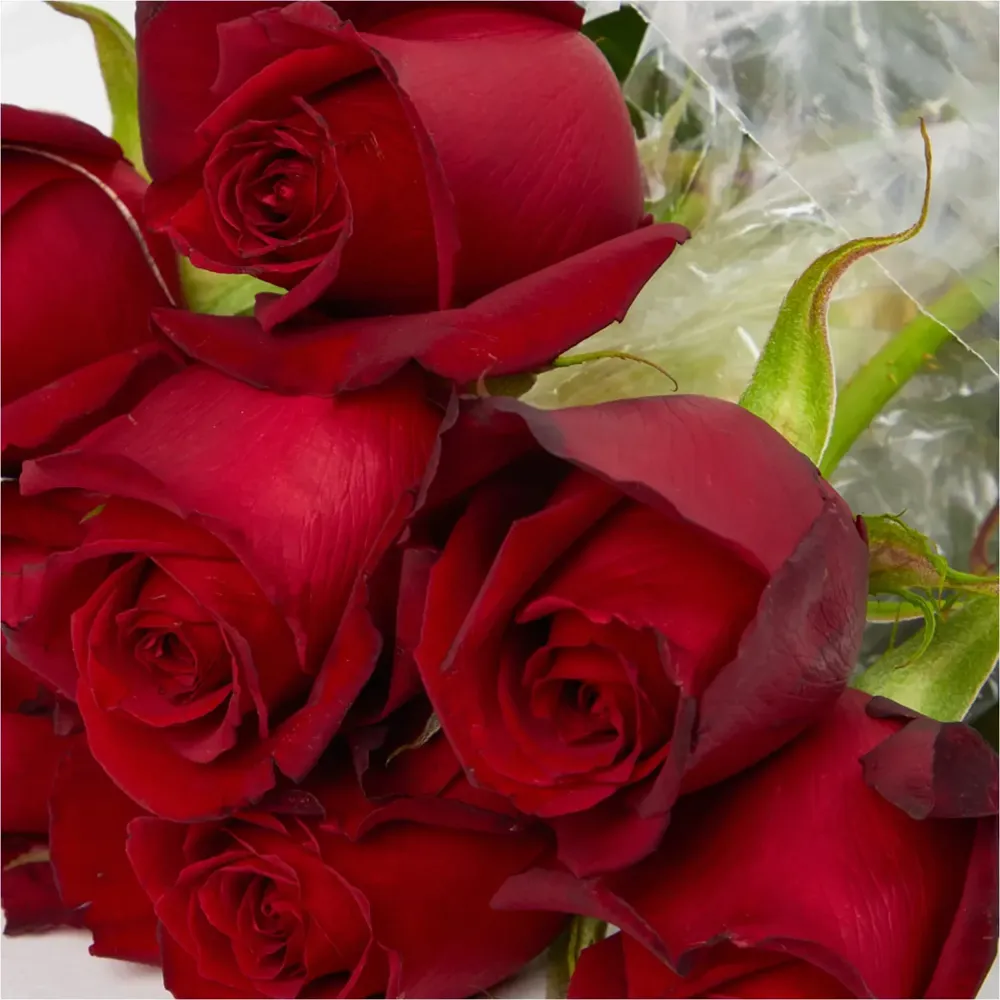 Buquê Maço Rosa Natural Variado — foto 4