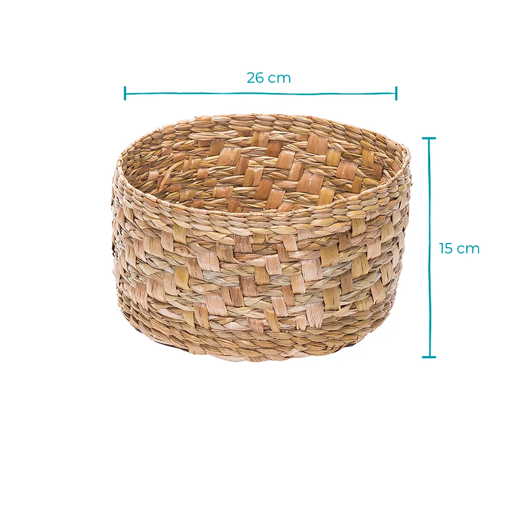 Cachepô de Taboa Crisântemo Bola Belga Art Cestas — foto 2