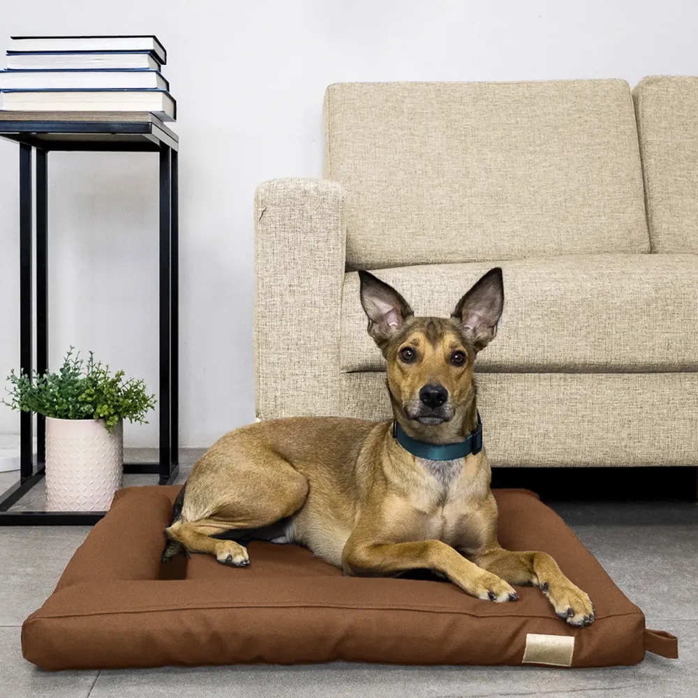 Cama Flat Cordoba Fábrica Pet Marrom — foto 4