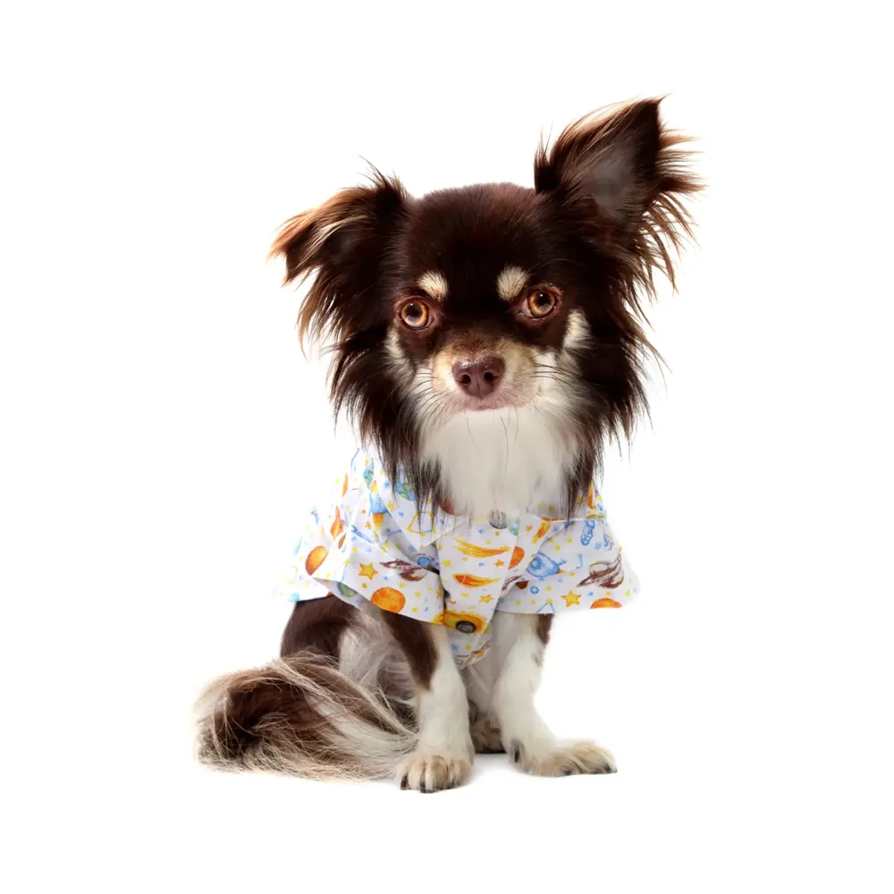 Camisa Planetas Bichinho Chic Branca — foto 4